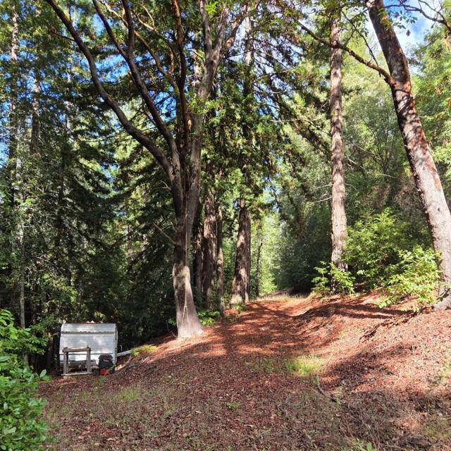 1140 Warren Drive, Santa Cruz CA: https://media.crmls.org/mediaz/2c5e7467-3d8d-431c-9569-a8edd772b66a.jpg