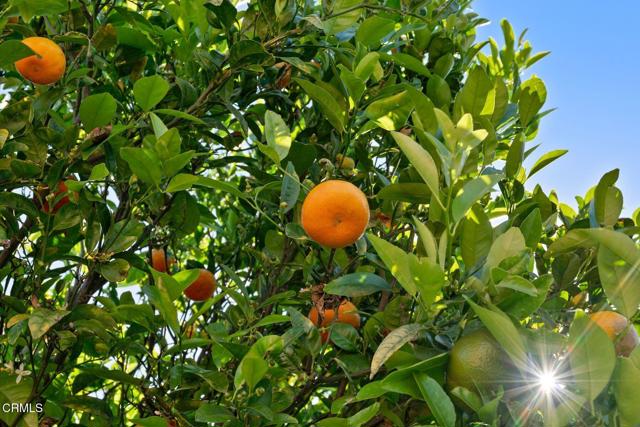 Detail Gallery Image 13 of 16 For 140 Gaviota Pl #157,  Oxnard,  CA 93033 - 2 Beds | 2 Baths