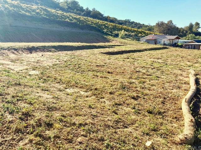 Detail Gallery Image 7 of 8 For 13814 Woods Valley Ct, Valley Center,  CA 92082 - – Beds | – Baths