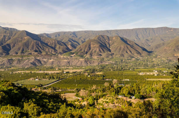 Detail Gallery Image 37 of 46 For 303 Lark Ellen Ave, Ojai,  CA 93023 - 2 Beds | 1 Baths