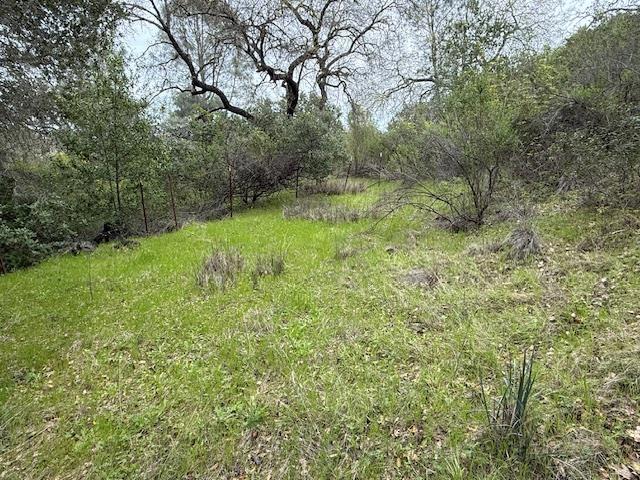 11 Little Uvas Road, Morgan Hill CA: https://media.crmls.org/mediaz/2c77c6c9-e7f5-40d8-a57f-d99a82f06174.jpg