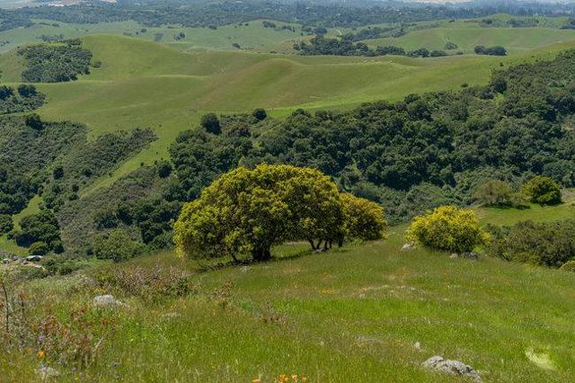 100 Old Stage Rd, San Juan Bautista CA: https://media.crmls.org/mediaz/2c8b0d14-5e4d-4fde-983d-2aaf584bbe53.jpg