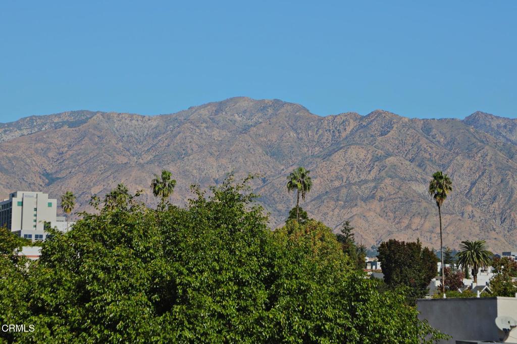 MLS #P1-24979 image #27