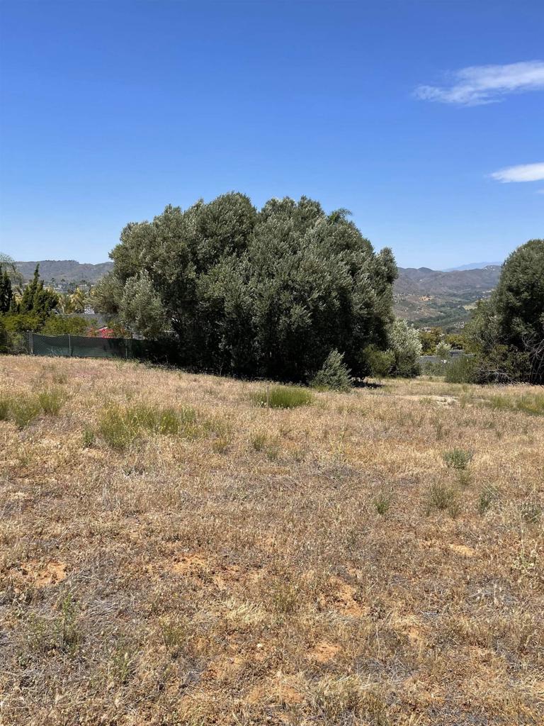 MLS #250029848SD img 10