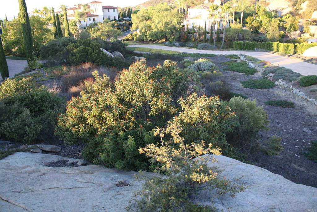 MLS #NDP2510463 image #11