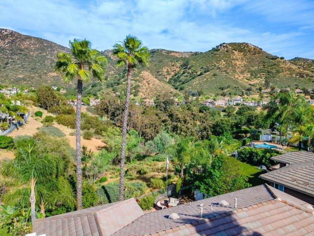 Detail Gallery Image 47 of 72 For 2312 Orchard View Ln., Escondido,  CA 92027 - 4 Beds | 3 Baths