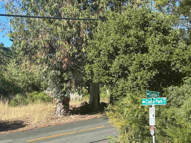 0 Castle DR, Oakland CA: https://media.crmls.org/mediaz/2cb92025-81e5-4a9d-9421-0355953f7d67.jpg