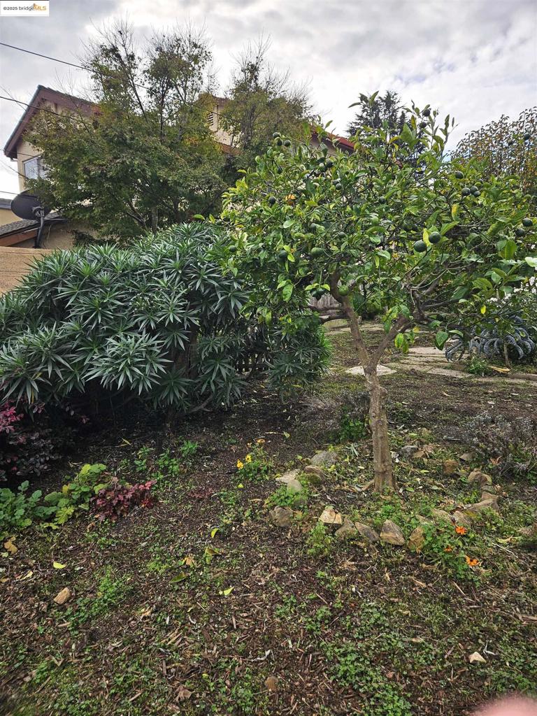 MLS #41117792 image #30