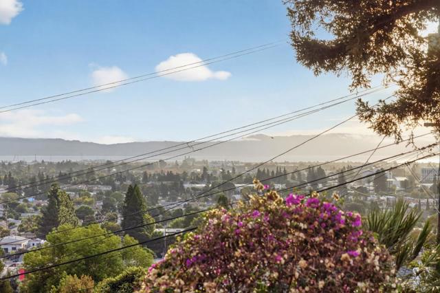 24546 Marie Drive, Hayward CA: https://media.crmls.org/mediaz/2cc0a467-3211-4a60-8298-35a5e35fbb34.jpg