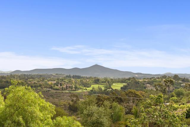 Detail Gallery Image 5 of 19 For 3401 Adams Run, Encinitas,  CA 92024 - 6 Beds | 4/1 Baths