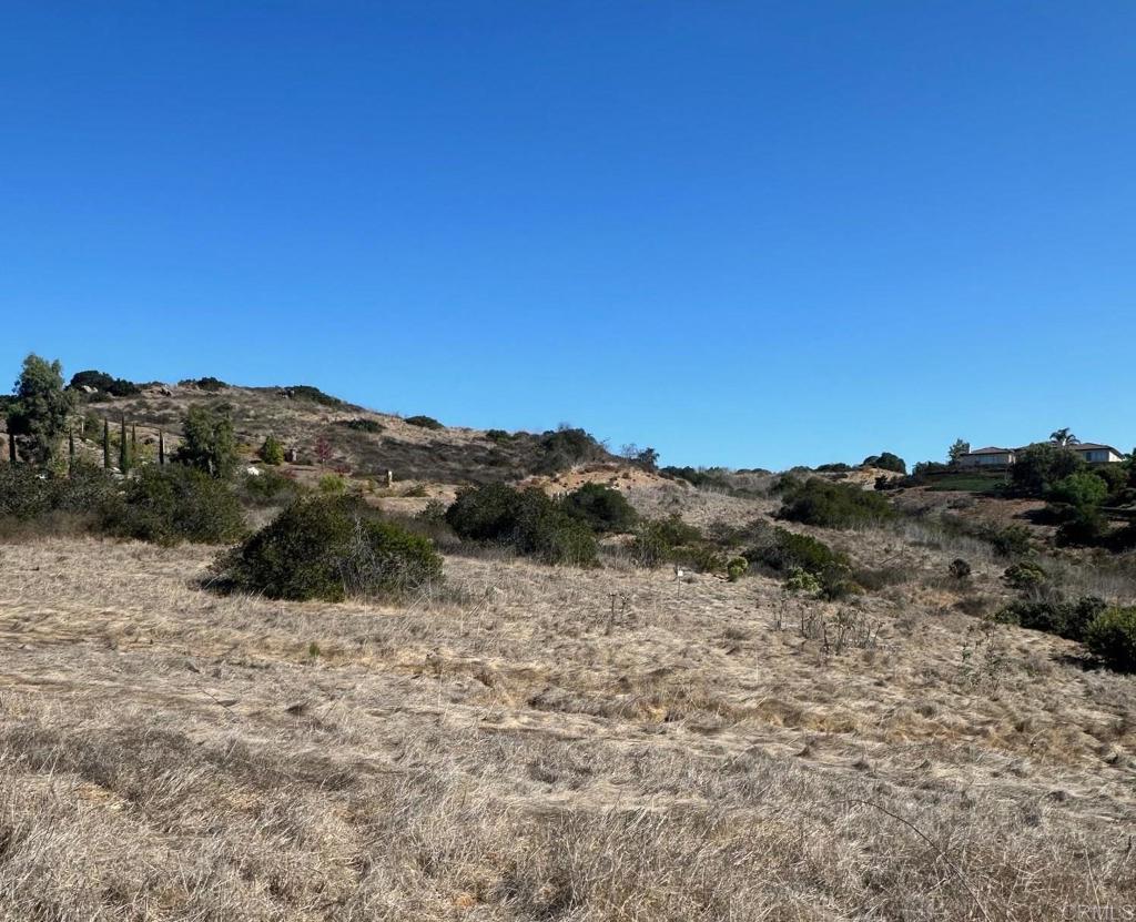 Trailside Road - photo 8