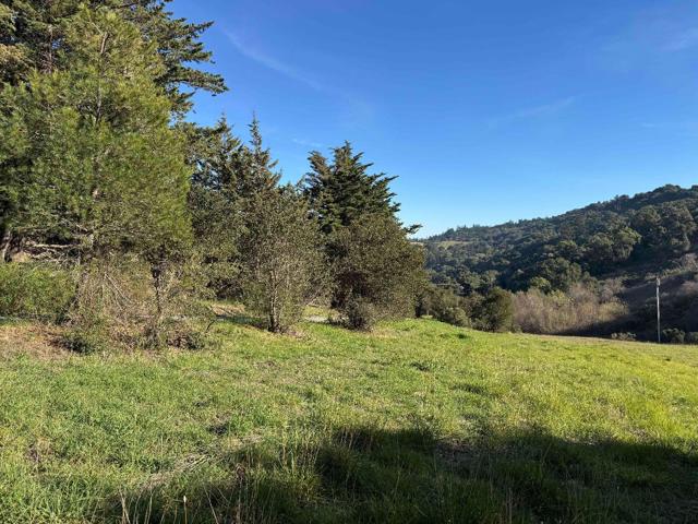 220 Heacox Road, Woodside CA: https://media.crmls.org/mediaz/2ccbbf71-be18-482a-8cfe-9f771641985a.jpg