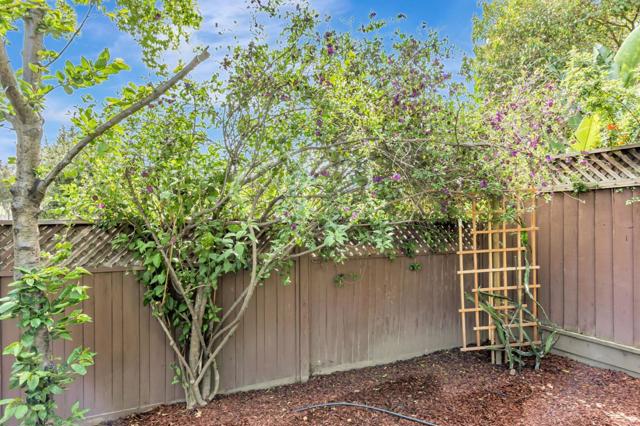 529 Park Meadow Court, San Jose CA: https://media.crmls.org/mediaz/2cce2334-c091-43f6-925d-5e6f38d0095c.jpg