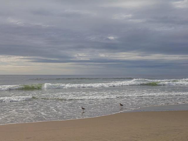 101 Shell Drive, La Selva Beach CA: https://media.crmls.org/mediaz/2cd8093e-4737-4f39-97aa-95bd04a0afdd.jpg