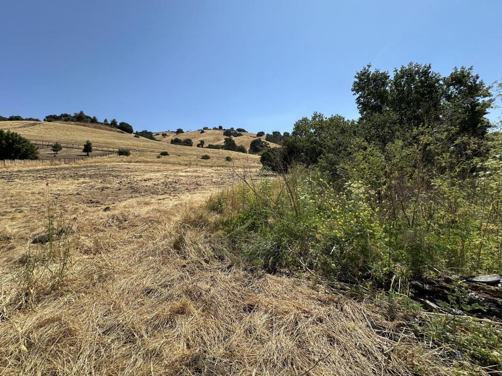 MLS #ML82011312 image #8