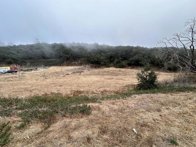 216 Tucker Road, Royal Oaks CA: https://media.crmls.org/mediaz/2cde83af-1400-4be4-9a89-9cf926d60f94.jpg