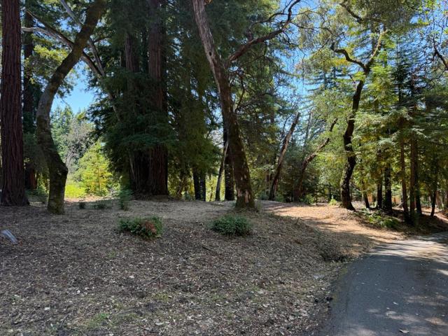 0 Debbie, Los Gatos CA: https://media.crmls.org/mediaz/2ceb40b0-5c95-43ac-8665-7cd105d22124.jpg