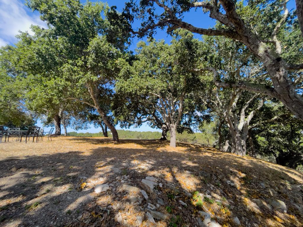 MLS #ML81990616 image #11