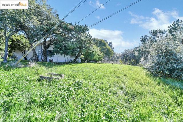 4058 Treat Boulevard, Concord CA: https://media.crmls.org/mediaz/2d003f75-74f6-4059-a7f4-1d3d48a9c9ac.jpg