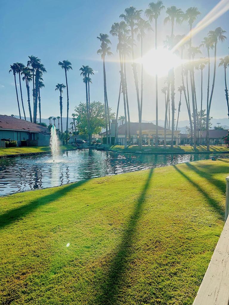 43376 Cook Street #87