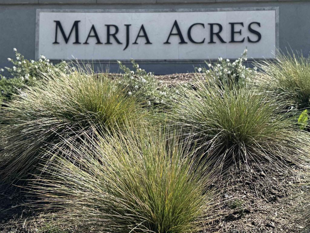 2586 Delphinium Lane - photo 10