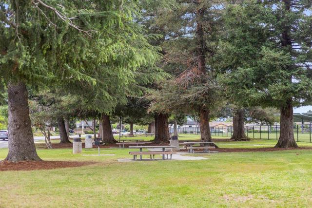 385 Cronin Drive, Santa Clara CA: https://media.crmls.org/mediaz/2d35ea3a-276c-4fad-92cc-5a25aa81da4c.jpg