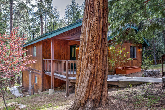53962 Marian View Drive, Idyllwild CA: https://media.crmls.org/mediaz/2d371e9b-327d-4b7f-b536-91258917aae0.jpg