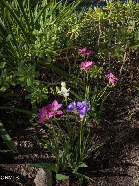 Image 4 of 29 For 1520 Carroll Drive