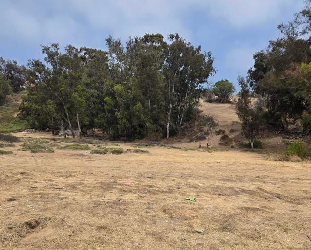 Front Image Thumbnail for CRPTP2506214