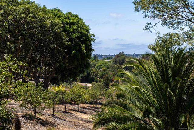 17716 Via De Fortuna, Rancho Santa Fe CA: https://media.crmls.org/mediaz/2d543a57-a46c-4856-8129-2c9b0553df03.jpg