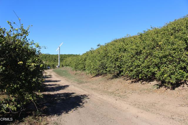 Detail Gallery Image 5 of 15 For 4363 Sand Canyon Rd, Somis,  CA 93066 - – Beds | – Baths