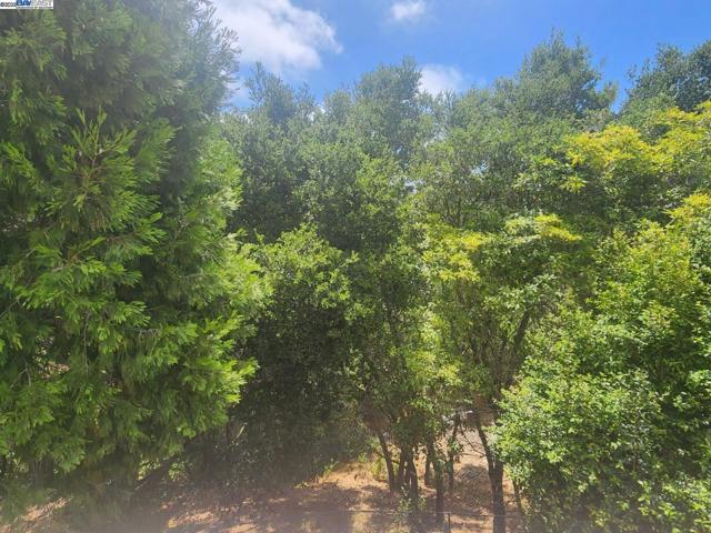 25660 Paul Ct, Hayward CA: https://media.crmls.org/mediaz/2d59cb83-8175-4473-82ae-10f3170a1fbb.jpg