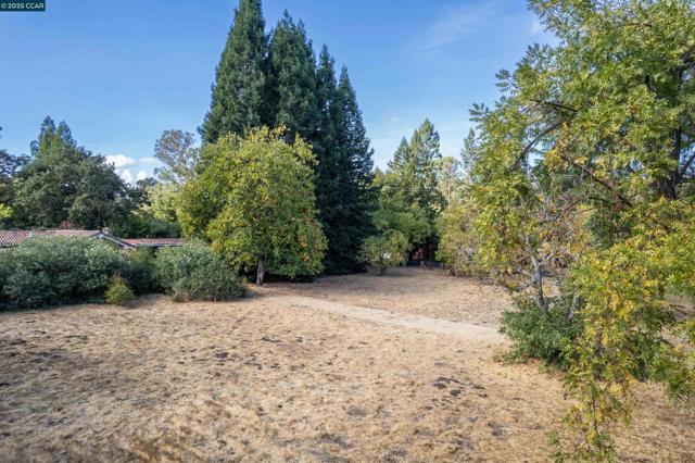 2339 Tice Valley Blvd, Walnut Creek CA: https://media.crmls.org/mediaz/2d5ee227-9424-492c-9aeb-ae087e25a186.jpg