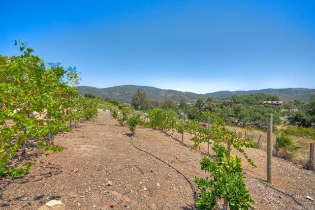 7702 Camino Sereno, Escondido CA: https://media.crmls.org/mediaz/2d66d526-e7cd-4844-a996-7796f2e46aad.jpg