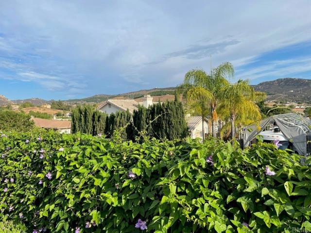 Detail Gallery Image 8 of 20 For 9417 Cherisse Ln, El Cajon,  CA 92021 - 4 Beds | 2 Baths