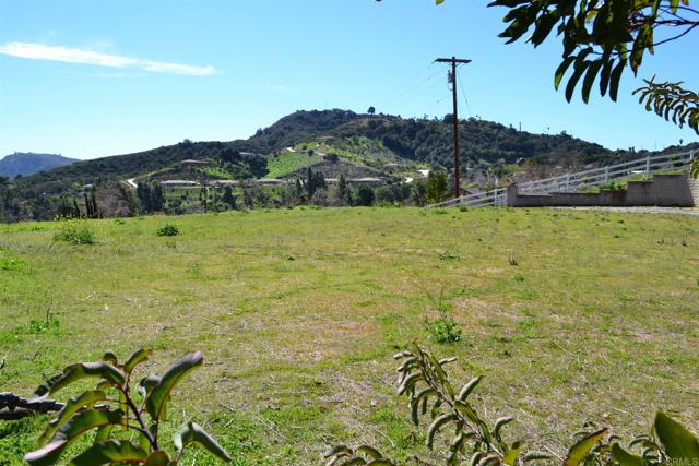 2593 Daisy Lane, Fallbrook, California 92028, ,Land,For Sale,2593 Daisy Lane,CRNDP2307998