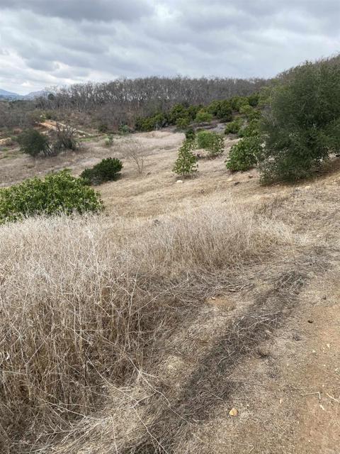 0 Ridge Creek Road, Valley Center CA: https://media.crmls.org/mediaz/2d6fdbb6-7cd3-4aee-9786-a79740b6e663.jpg
