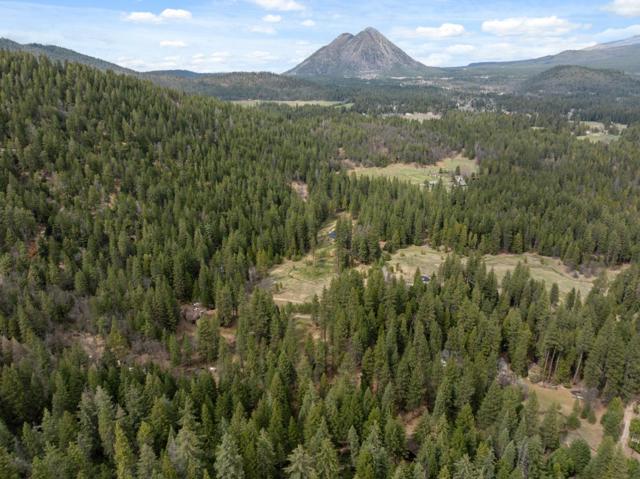 Image 67 of 95 For 2120 Pack Trail