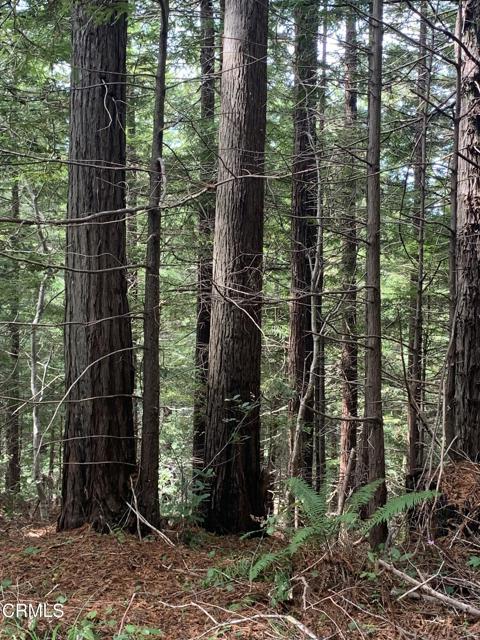 Detail Gallery Image 34 of 41 For 23501 Branscomb Rd, Westport,  CA 95488 - – Beds | – Baths