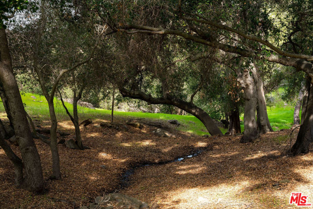 25834 Piuma Road photo 8