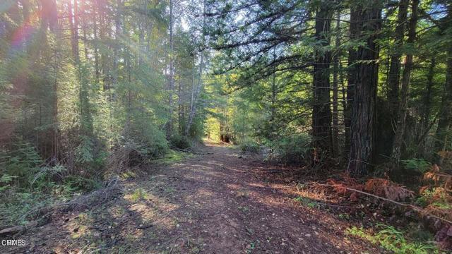 Detail Gallery Image 12 of 25 For 26030 Comptche Ukiah Rd, Comptche,  CA 95427 - – Beds | – Baths