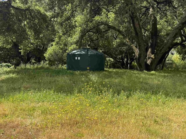 2950 Niles Canyon Rd, Castro Valley CA: https://media.crmls.org/mediaz/2d860647-2e08-423e-a2ce-2cf3c9428fa5.jpg