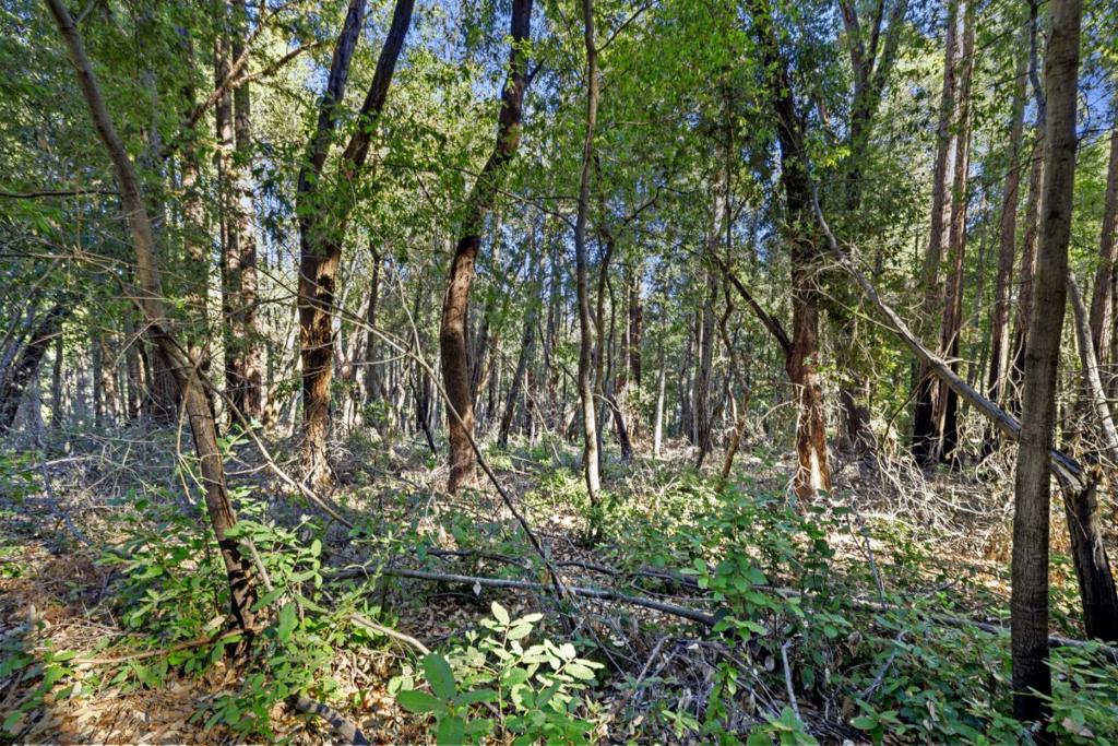 MLS #ML81986063 image #9