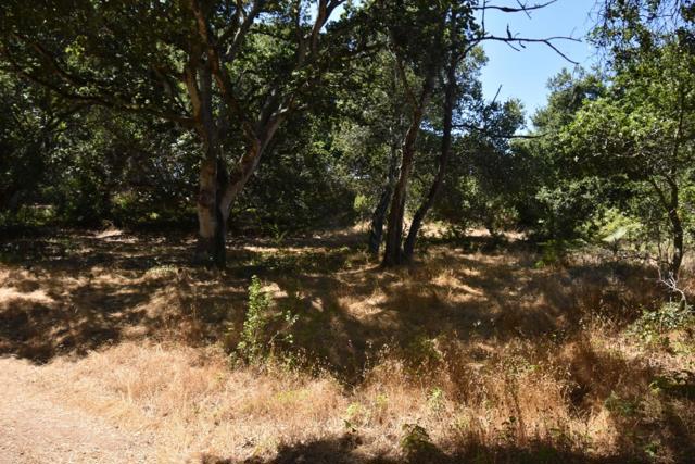 0 Alexander Lane, San Juan Bautista CA: https://media.crmls.org/mediaz/2d89930c-e191-4c7c-bcd9-63c807019e6e.jpg