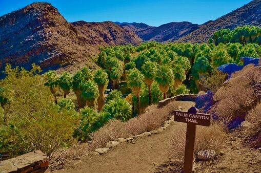 MLS #219141476PS image #59