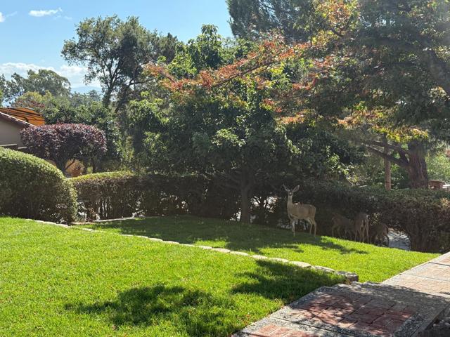 4155 Holly Drive, San Jose CA: https://media.crmls.org/mediaz/2d9d7b3b-c9ca-4d26-95d5-27c2ce3b23bb.jpg