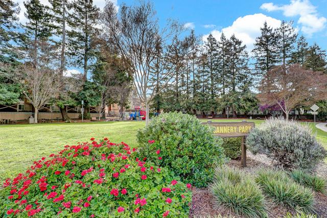 977 Asilomar Terrace, Sunnyvale CA: https://media.crmls.org/mediaz/2da125ec-18c4-4e8b-a5fb-c3d193ac4967.jpg