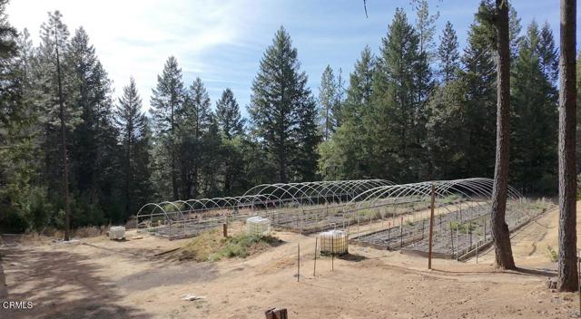 1605 Fitch Road, Laytonville CA: https://media.crmls.org/mediaz/2da7beac-9902-4bf9-8fcb-c2d708151d18.jpg
