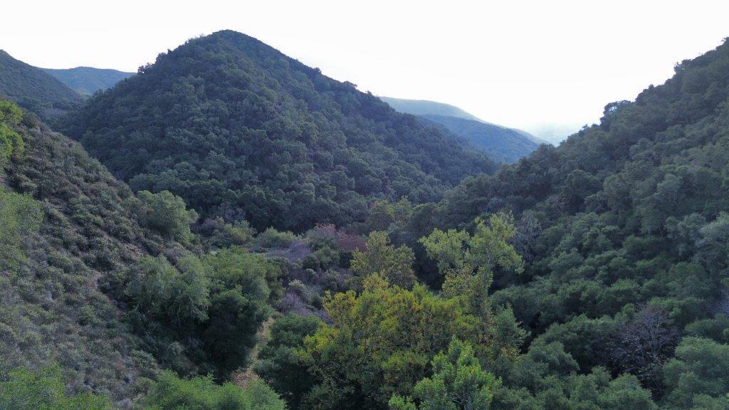 MLS #ML82019512 image #24