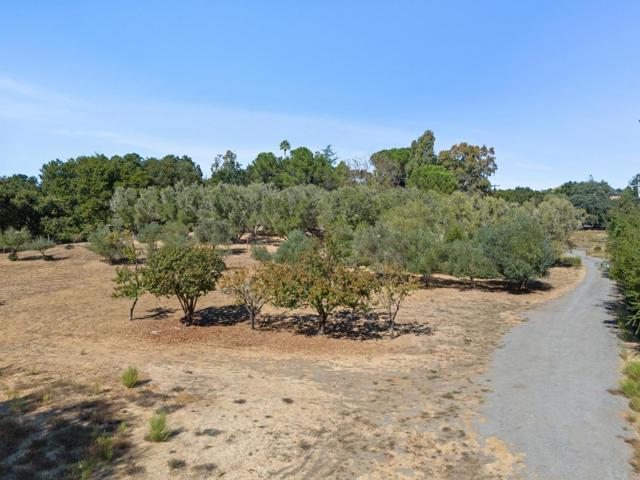 125 Mapache, Portola Valley CA: https://media.crmls.org/mediaz/2db520b9-2014-4e1f-b160-acebdc6f1451.jpg
